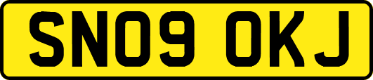 SN09OKJ