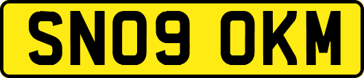 SN09OKM