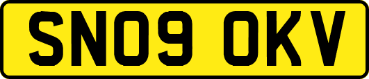 SN09OKV