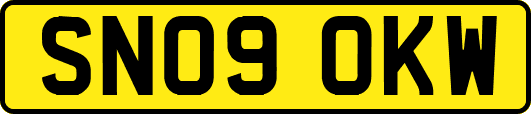 SN09OKW