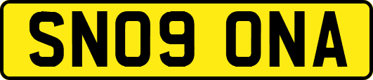 SN09ONA