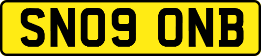 SN09ONB