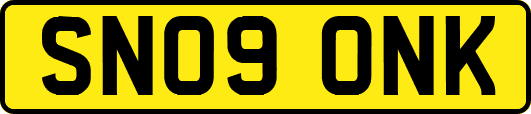 SN09ONK