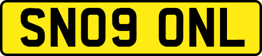 SN09ONL