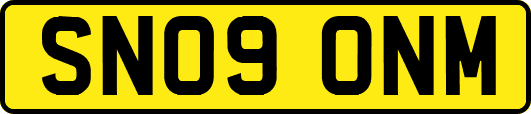 SN09ONM