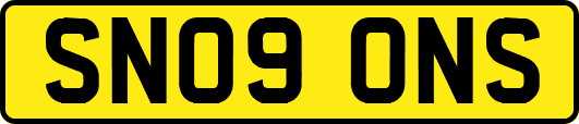 SN09ONS