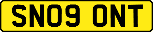 SN09ONT