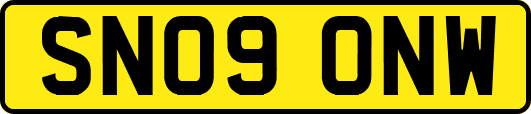 SN09ONW