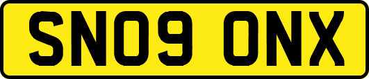 SN09ONX
