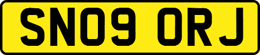SN09ORJ
