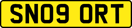 SN09ORT