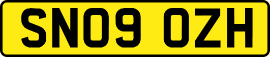 SN09OZH