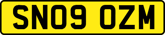 SN09OZM