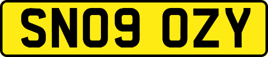 SN09OZY