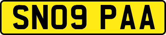 SN09PAA