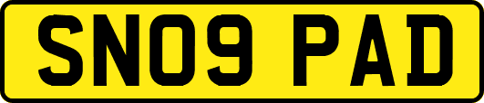 SN09PAD