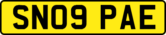 SN09PAE