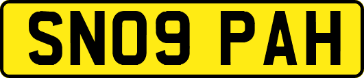 SN09PAH