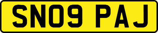 SN09PAJ