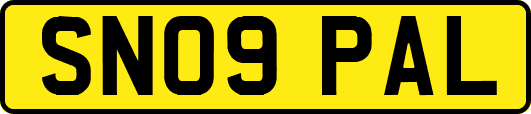 SN09PAL