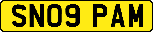 SN09PAM
