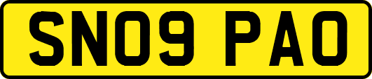 SN09PAO