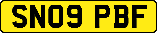SN09PBF