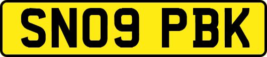 SN09PBK