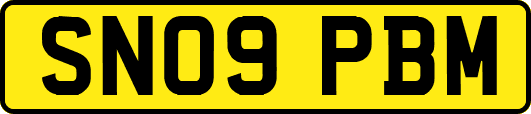 SN09PBM