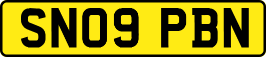 SN09PBN
