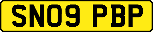SN09PBP