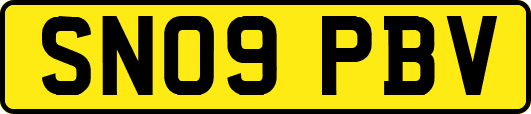 SN09PBV