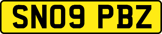 SN09PBZ