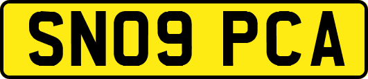 SN09PCA