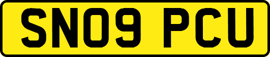 SN09PCU