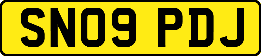 SN09PDJ