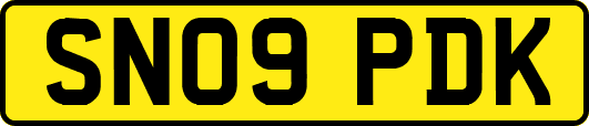SN09PDK