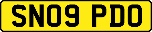 SN09PDO