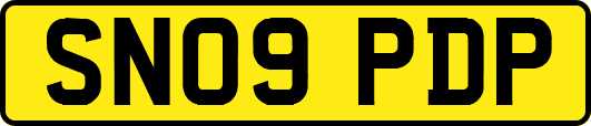 SN09PDP
