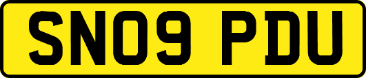 SN09PDU