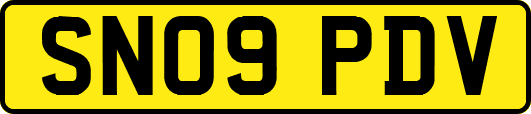 SN09PDV