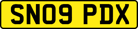 SN09PDX