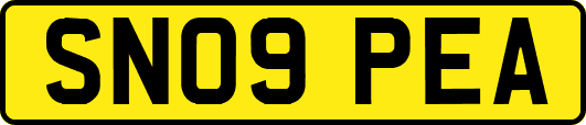 SN09PEA