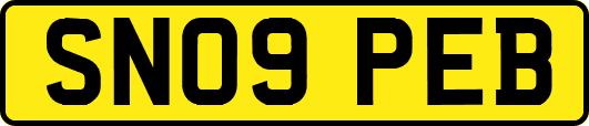 SN09PEB