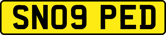 SN09PED