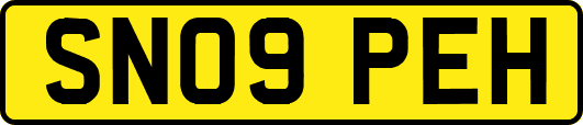 SN09PEH