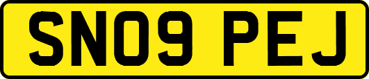 SN09PEJ