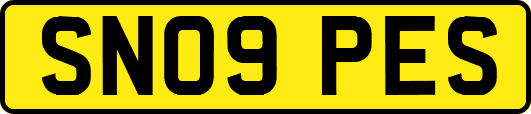 SN09PES