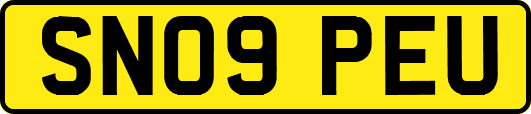 SN09PEU
