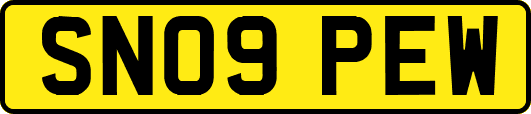 SN09PEW